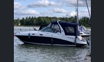 Sea Ray 275-kuva-15
